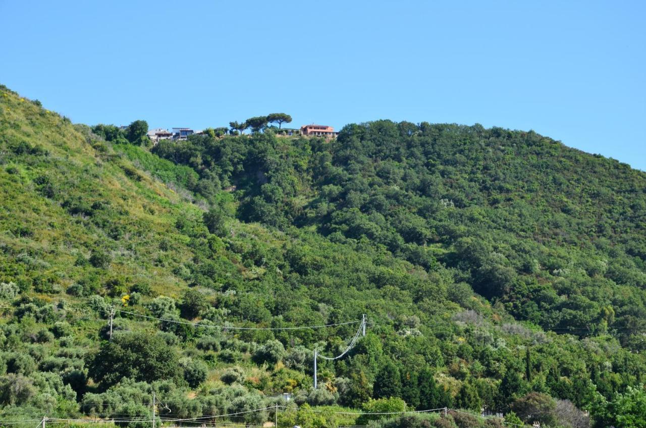 Penthouse Mare E Monti Daire Tropea Dış mekan fotoğraf